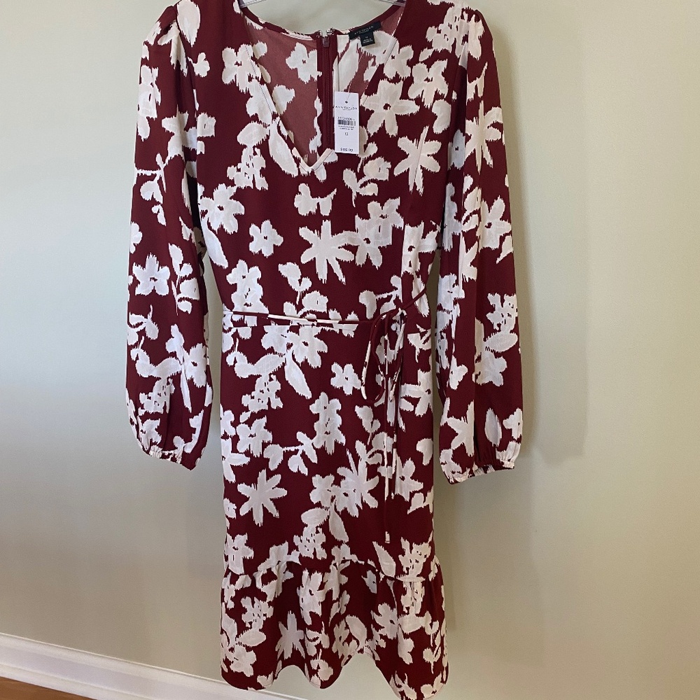 ANN TAYLOR factory dress. *New*
